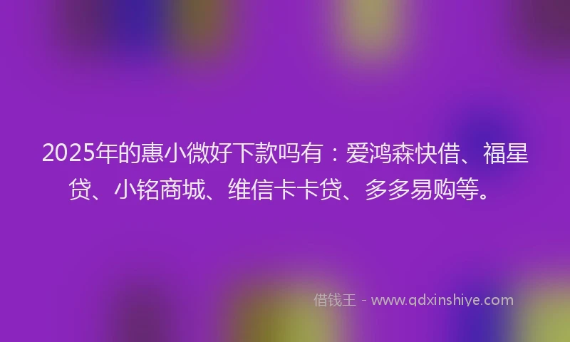 2025年的惠小微好下款吗有：爱鸿森快借、福星贷、小铭商城、维信卡卡贷、多多易购等。