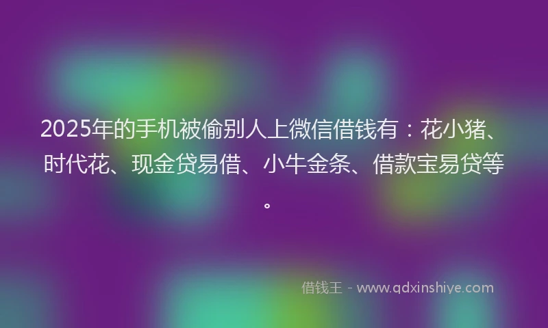 2025年的手机被偷别人上微信借钱有：花小猪、时代花、现金贷易借、小牛金条、借款宝易贷等。