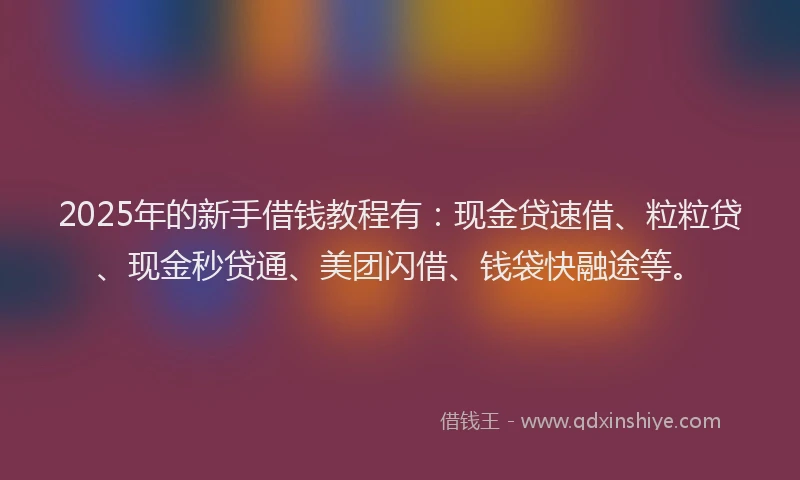 2025年的新手借钱教程有：现金贷速借、粒粒贷、现金秒贷通、美团闪借、钱袋快融途等。