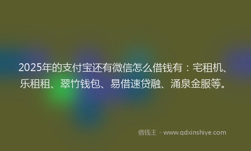 2025年的支付宝还有微信怎么借钱有：宅租机、乐租租、翠竹钱包、易借速贷融、涌泉金服等。
