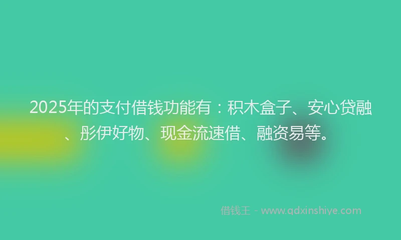 2025年的支付借钱功能有：积木盒子、安心贷融、彤伊好物、现金流速借、融资易等。