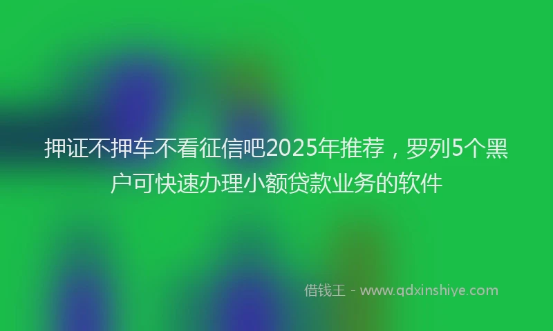 押证不押车不看征信吧2025年推荐，罗列5个黑户可快速办理小额贷款业务的软件
