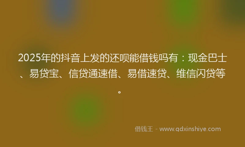 2025年的抖音上发的还呗能借钱吗有：现金巴士、易贷宝、信贷通速借、易借速贷、维信闪贷等。