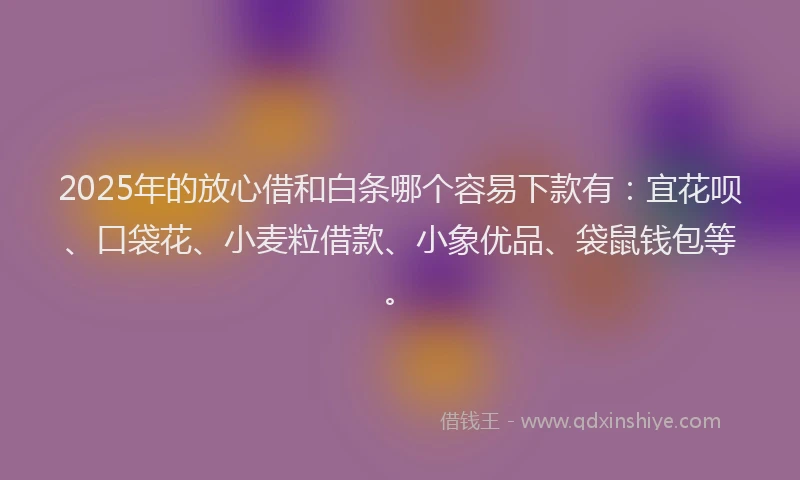 2025年的放心借和白条哪个容易下款有：宜花呗、口袋花、小麦粒借款、小象优品、袋鼠钱包等。