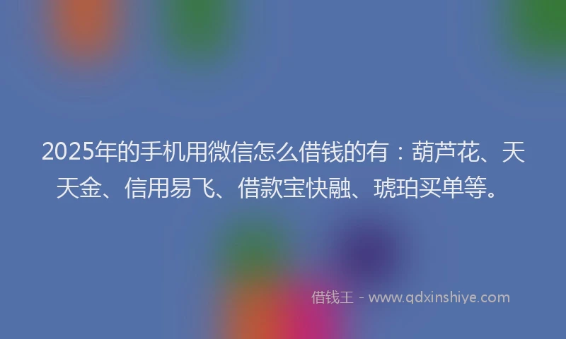 2025年的手机用微信怎么借钱的有：葫芦花、天天金、信用易飞、借款宝快融、琥珀买单等。