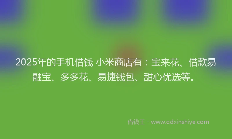2025年的手机借钱 小米商店有：宝来花、借款易融宝、多多花、易捷钱包、甜心优选等。