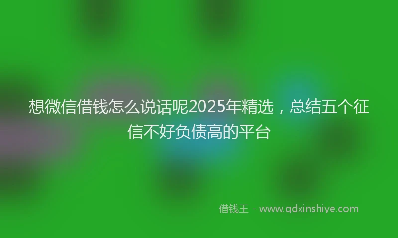 想微信借钱怎么说话呢2025年精选，总结五个征信不好负债高的平台