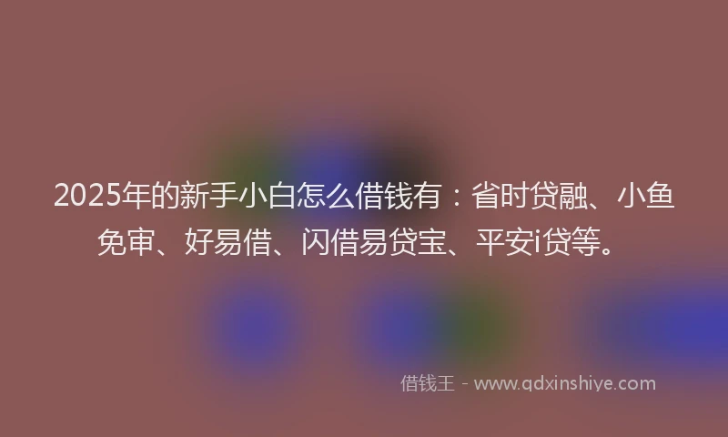 2025年的新手小白怎么借钱有：省时贷融、小鱼免审、好易借、闪借易贷宝、平安i贷等。
