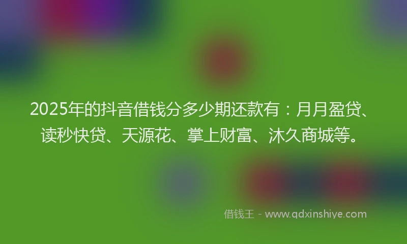 2025年的抖音借钱分多少期还款有：月月盈贷、读秒快贷、天源花、掌上财富、沐久商城等。