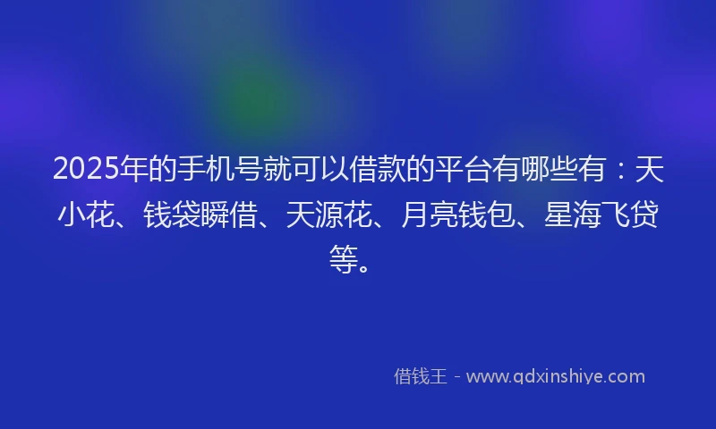 2025年的手机号就可以借款的平台有哪些有：天小花、钱袋瞬借、天源花、月亮钱包、星海飞贷等。