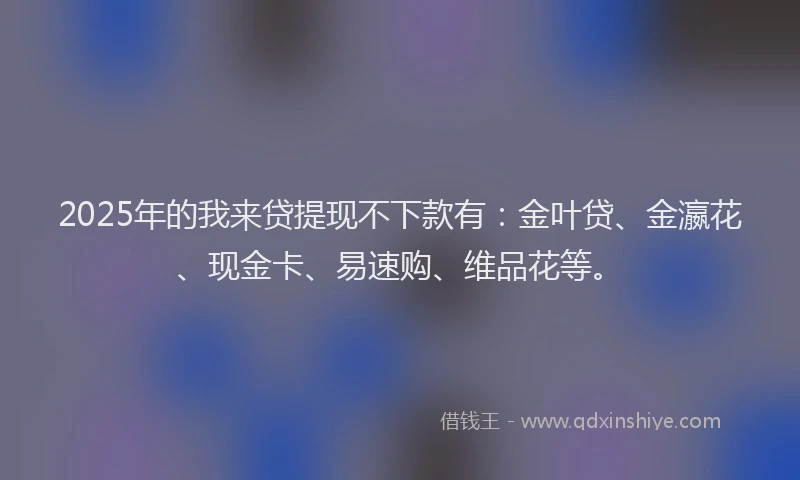 2025年的我来贷提现不下款有：金叶贷、金瀛花、现金卡、易速购、维品花等。