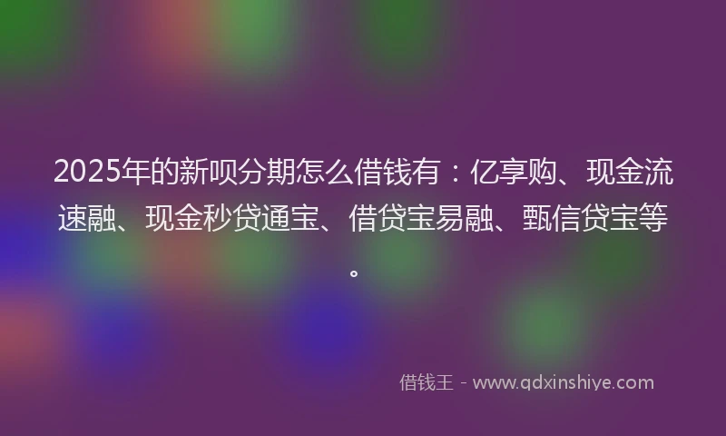 2025年的新呗分期怎么借钱有：亿享购、现金流速融、现金秒贷通宝、借贷宝易融、甄信贷宝等。