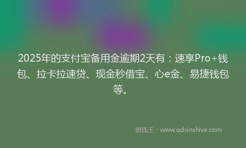 2025年的支付宝备用金逾期2天有：速享Pro+钱包、拉卡拉速贷、现金秒借宝、心e金、易捷钱包等。