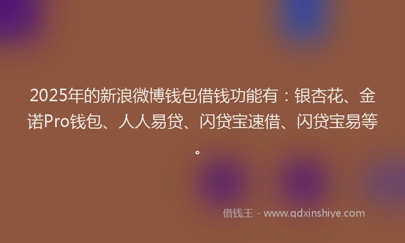 2025年的新浪微博钱包借钱功能有：银杏花、金诺Pro钱包、人人易贷、闪贷宝速借、闪贷宝易等。