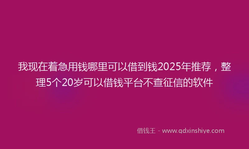 我现在着急用钱哪里可以借到钱2025年推荐，整理5个20岁可以借钱平台不查征信的软件