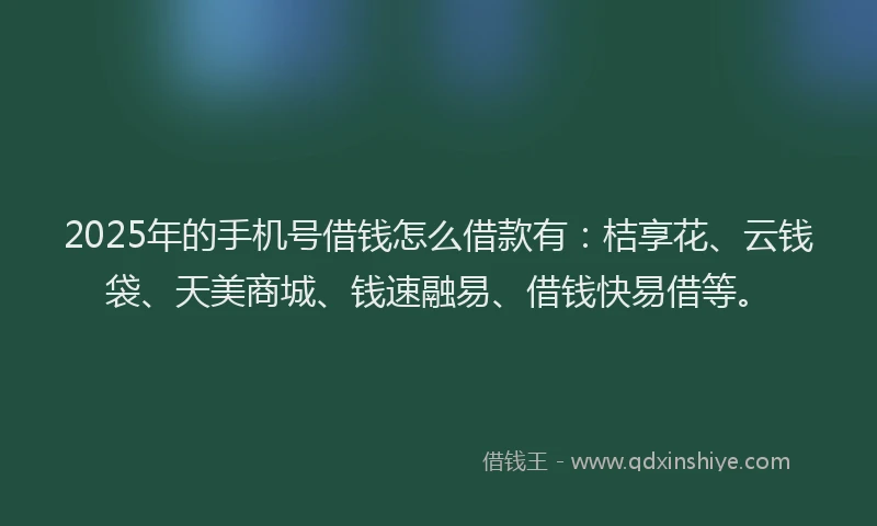 2025年的手机号借钱怎么借款有：桔享花、云钱袋、天美商城、钱速融易、借钱快易借等。