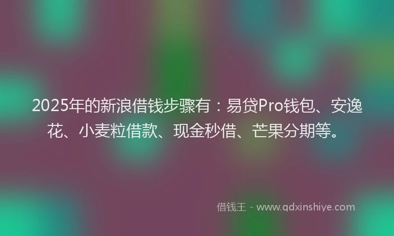 2025年的新浪借钱步骤有：易贷Pro钱包、安逸花、小麦粒借款、现金秒借、芒果分期等。