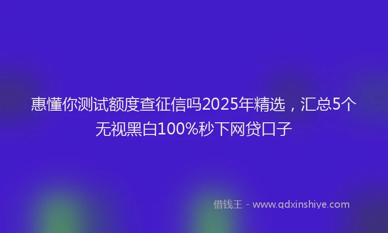 惠懂你测试额度查征信吗2025年精选，汇总5个无视黑白100%秒下网贷口子