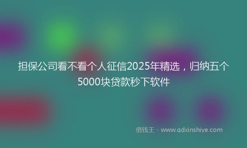 担保公司看不看个人征信2025年精选，归纳五个5000块贷款秒下软件