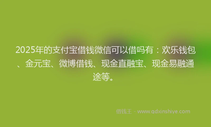 2025年的支付宝借钱微信可以借吗有：欢乐钱包、金元宝、微博借钱、现金直融宝、现金易融通途等。