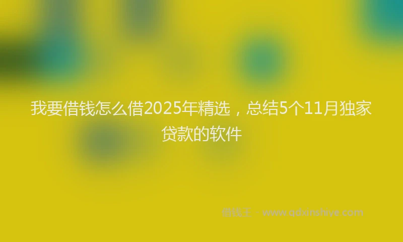 我要借钱怎么借2025年精选，总结5个11月独家贷款的软件