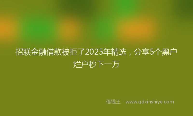 招联金融借款被拒了2025年精选，分享5个黑户烂户秒下一万