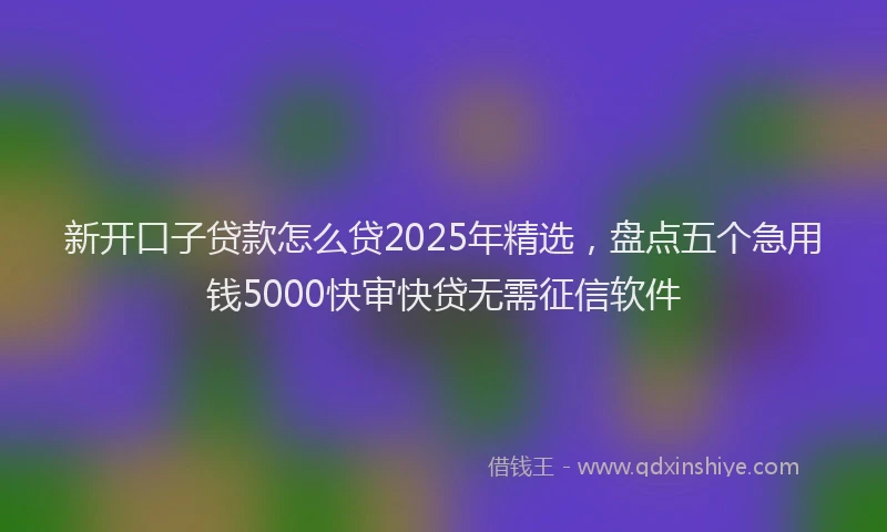 新开口子贷款怎么贷2025年精选，盘点五个急用钱5000快审快贷无需征信软件