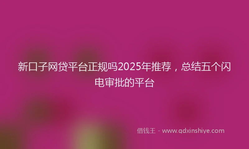 新口子网贷平台正规吗2025年推荐，总结五个闪电审批的平台