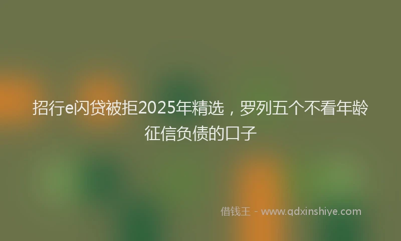 招行e闪贷被拒2025年精选，罗列五个不看年龄征信负债的口子