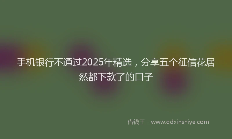 手机银行不通过2025年精选，分享五个征信花居然都下款了的口子