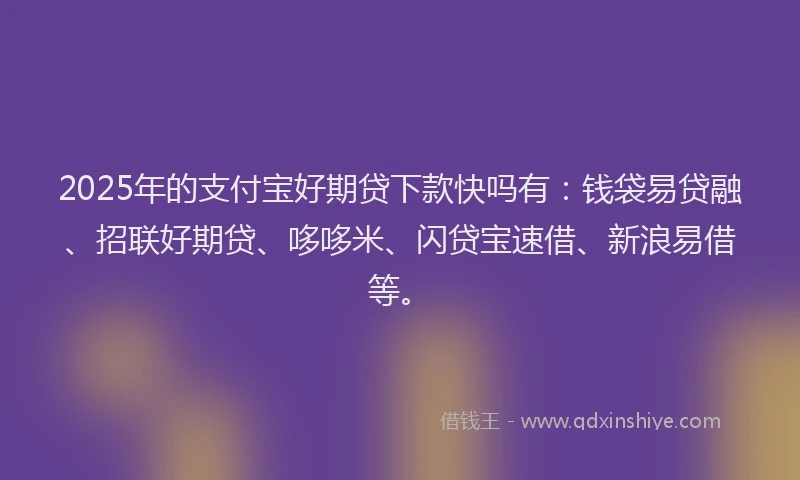 2025年的支付宝好期贷下款快吗有：钱袋易贷融、招联好期贷、哆哆米、闪贷宝速借、新浪易借等。