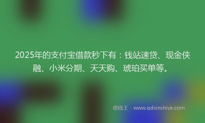 2025年的支付宝借款秒下有：钱站速贷、现金侠融、小米分期、天天购、琥珀买单等。