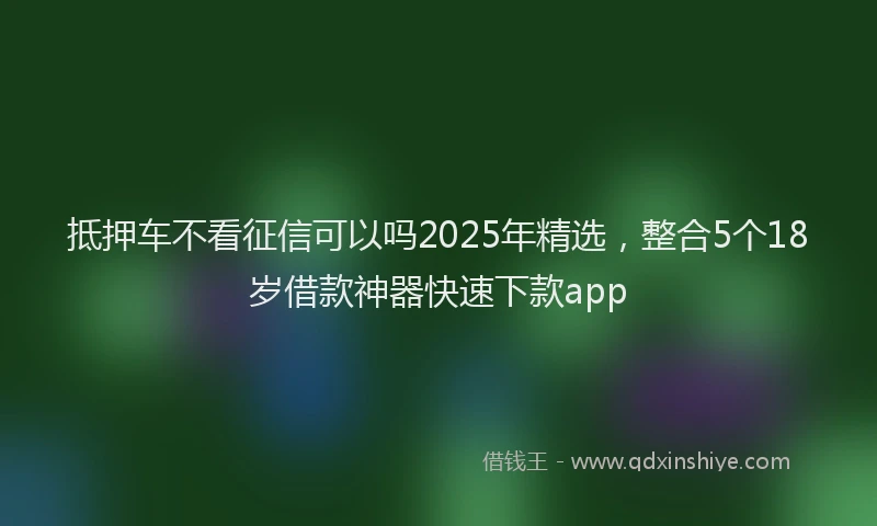 抵押车不看征信可以吗2025年精选，整合5个18岁借款神器快速下款app