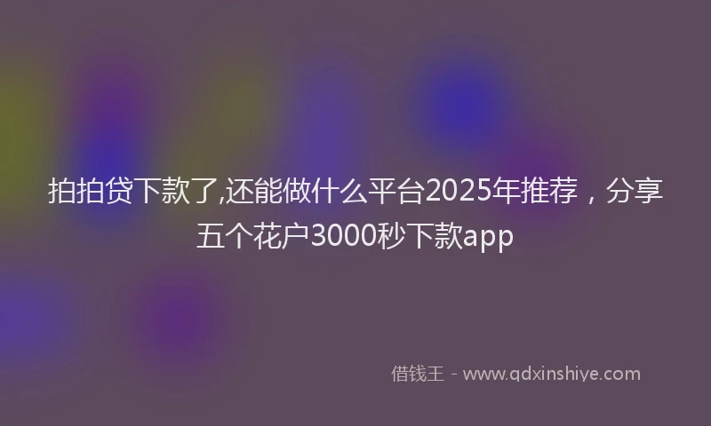 拍拍贷下款了,还能做什么平台2025年推荐，分享五个花户3000秒下款app