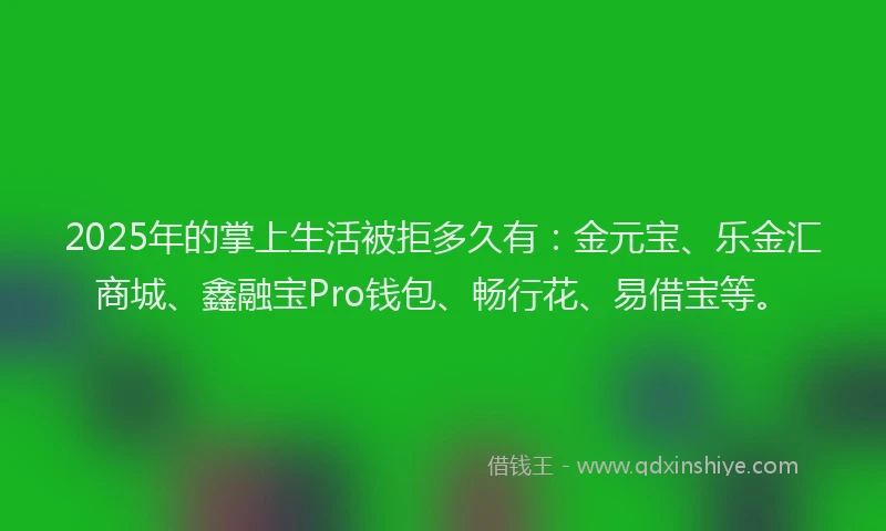 2025年的掌上生活被拒多久有：金元宝、乐金汇商城、鑫融宝Pro钱包、畅行花、易借宝等。