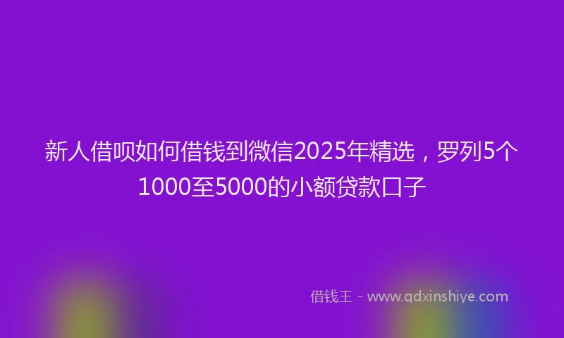 新人借呗如何借钱到微信2025年精选，罗列5个1000至5000的小额贷款口子