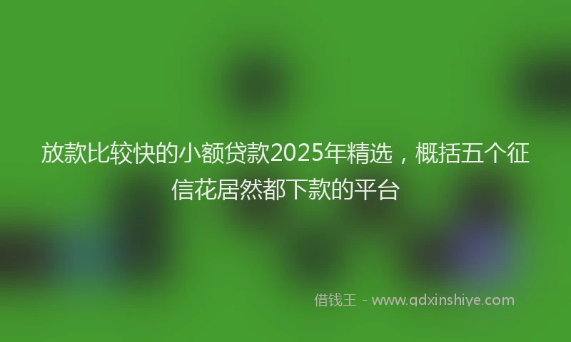 放款比较快的小额贷款2025年精选，概括五个征信花居然都下款的平台