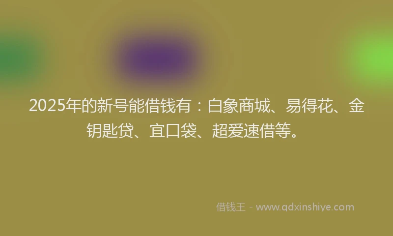 2025年的新号能借钱有：白象商城、易得花、金钥匙贷、宜口袋、超爱速借等。