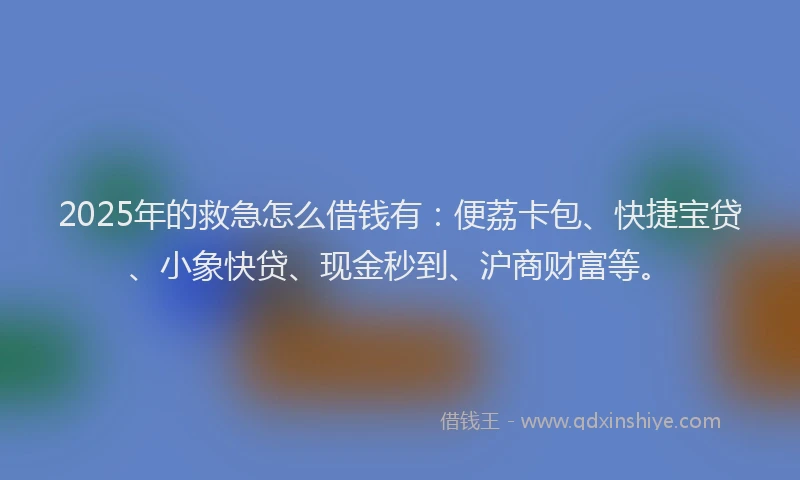 2025年的救急怎么借钱有：便荔卡包、快捷宝贷、小象快贷、现金秒到、沪商财富等。