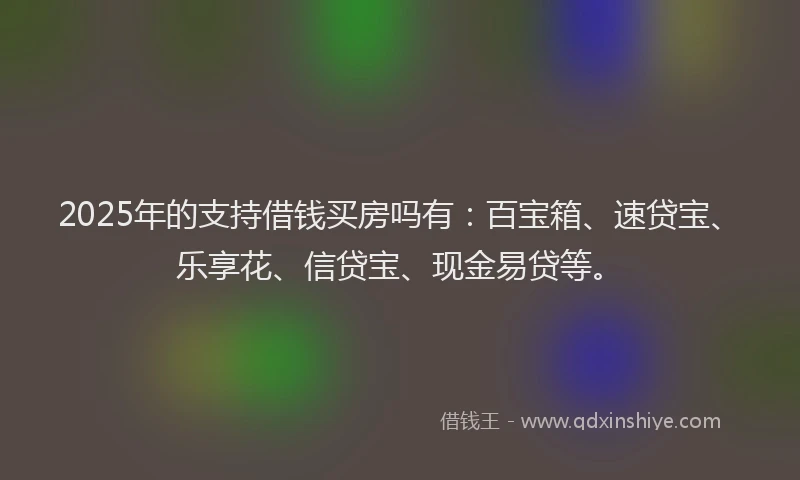2025年的支持借钱买房吗有：百宝箱、速贷宝、乐享花、信贷宝、现金易贷等。