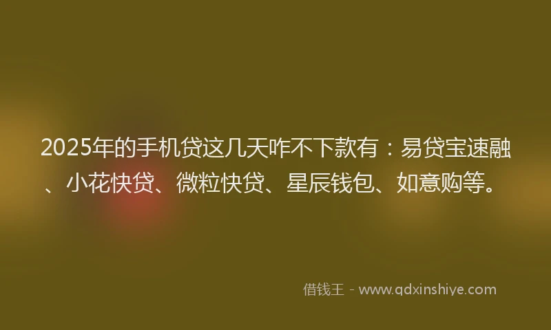 2025年的手机贷这几天咋不下款有：易贷宝速融、小花快贷、微粒快贷、星辰钱包、如意购等。