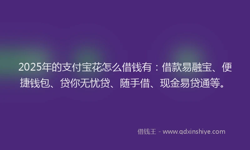 2025年的支付宝花怎么借钱有：借款易融宝、便捷钱包、贷你无忧贷、随手借、现金易贷通等。