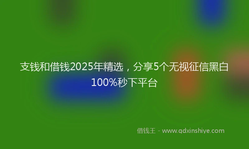 支钱和借钱2025年精选，分享5个无视征信黑白100%秒下平台