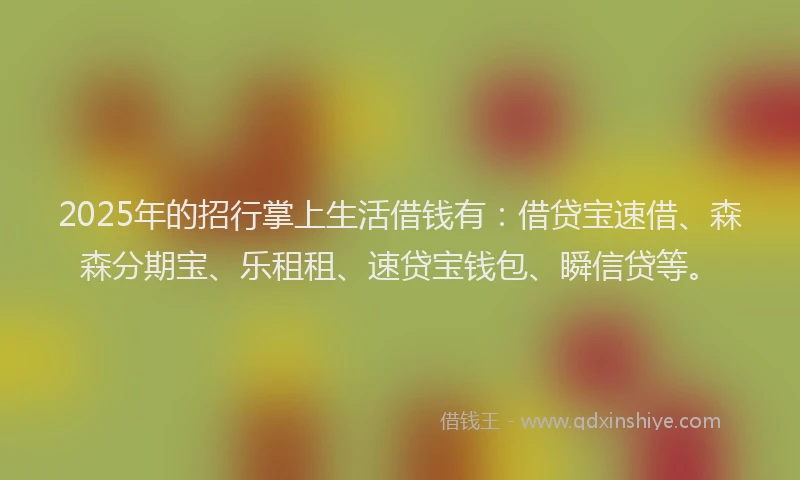2025年的招行掌上生活借钱有：借贷宝速借、森森分期宝、乐租租、速贷宝钱包、瞬信贷等。