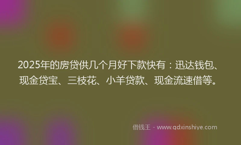 2025年的房贷供几个月好下款快有：迅达钱包、现金贷宝、三枝花、小羊贷款、现金流速借等。