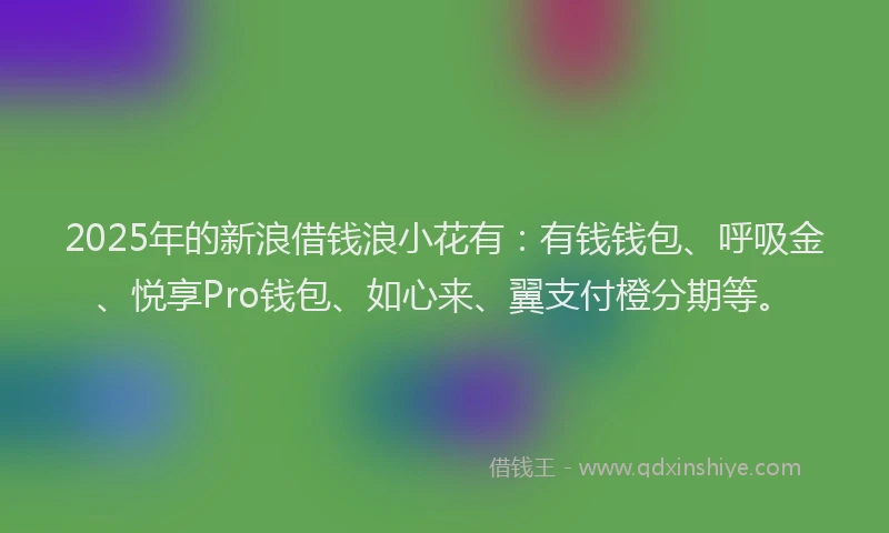 2025年的新浪借钱浪小花有：有钱钱包、呼吸金、悦享Pro钱包、如心来、翼支付橙分期等。