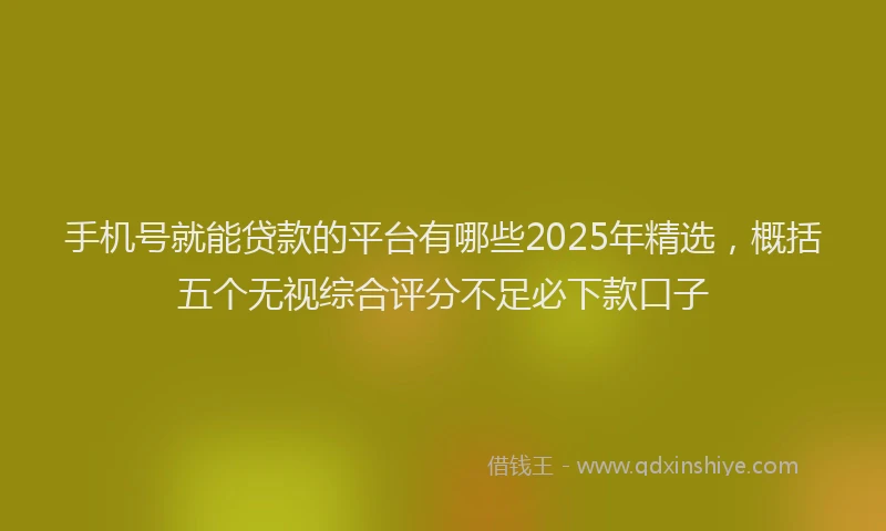 手机号就能贷款的平台有哪些2025年精选，概括五个无视综合评分不足必下款口子