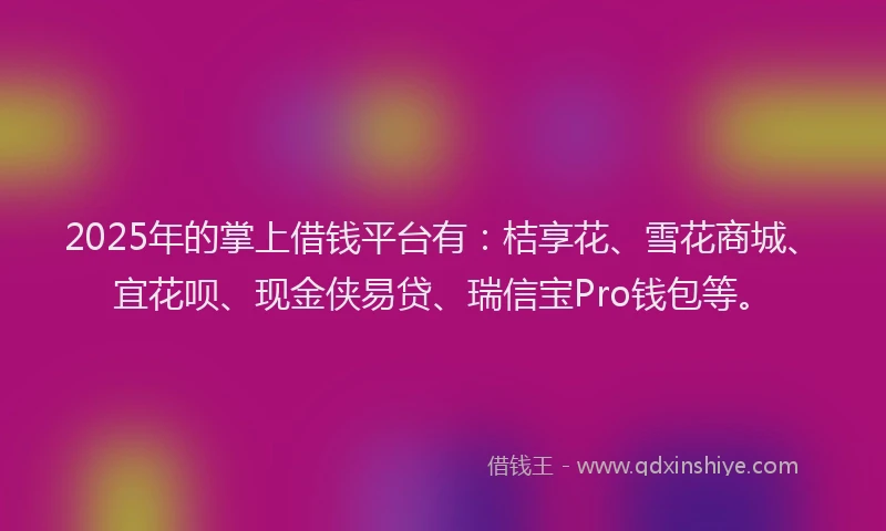 2025年的掌上借钱平台有：桔享花、雪花商城、宜花呗、现金侠易贷、瑞信宝Pro钱包等。