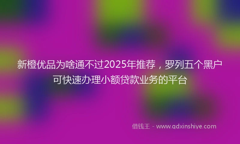 新橙优品为啥通不过2025年推荐，罗列五个黑户可快速办理小额贷款业务的平台