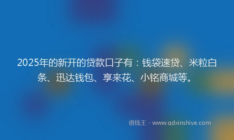 2025年的新开的贷款口子有：钱袋速贷、米粒白条、迅达钱包、享来花、小铭商城等。